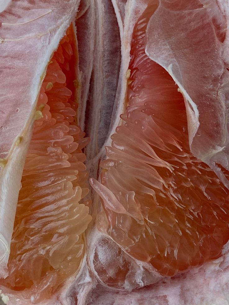 Alquimia da Libido — Ayurveda, vitalidade e desejo