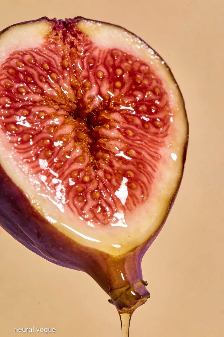 Alquimia da Libido — energia sexual e criatividade